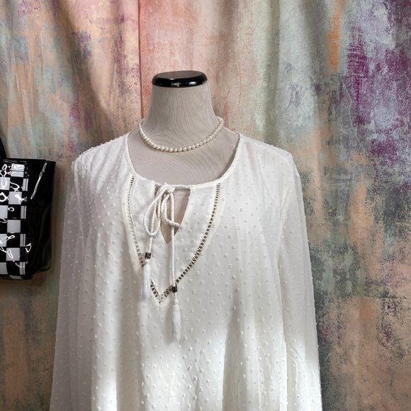 📌Daniel Rainn Chiffon Blouse with Tassel Tie - Picture 4 of 14